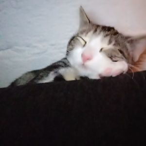 Meet your Posher, Eduardo